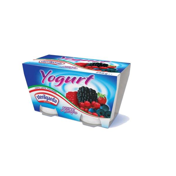 YOGURT FRUTTIBOSCO FRULLATO VASETTO 125G