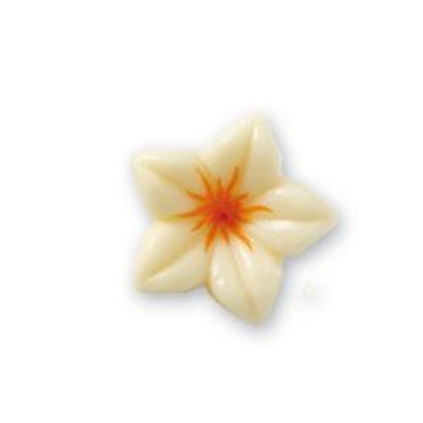 IW NARCISO CHOC BIANCO/ARANCIO X 76 PZ (C010235)